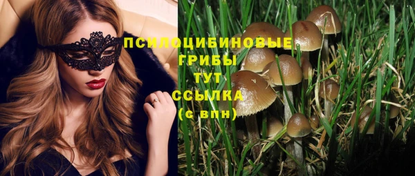 прущий лед Алексеевка