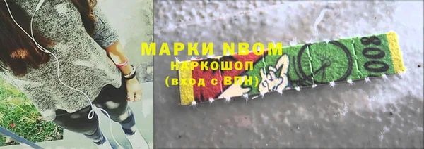 бошки Пересвет